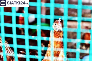 Siatki Zakopane - Siatka na woliery - zabezpieczenia ptaków w hodowli dla terenów Zakopanego